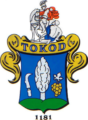 Tokod SE